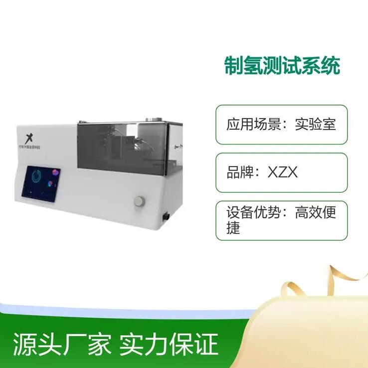 XZX-TS制氢测试系统设备